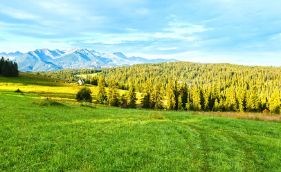 Similar image 5895045