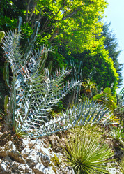 Similar image 5895083