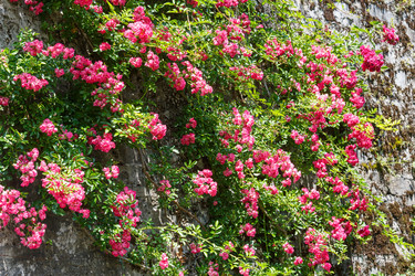 Similar image 5895095