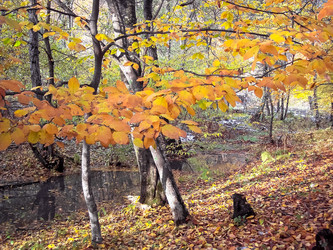 Similar image 5895803