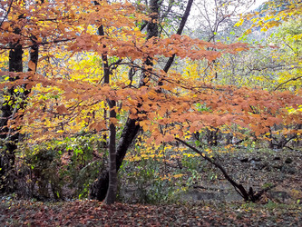 Similar image 5895823