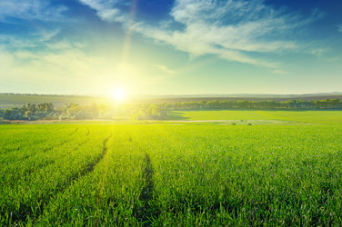 Similar image 5896201