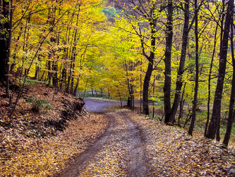 Similar image 5896281