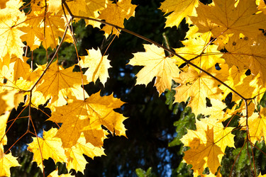 Similar image 5896434