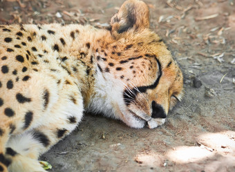 Similar image 5896437