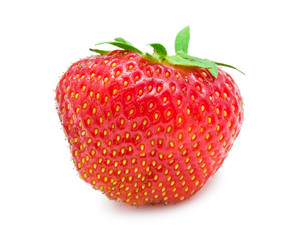 Similar image 5896439