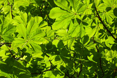 Similar image 5896459