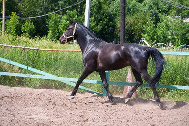 Similar image 5896460