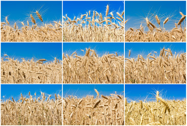 Similar image 5896466