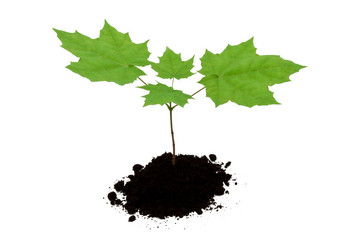 Similar image 5896485