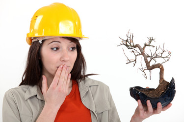 Similar image 5896568