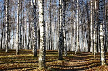 Similar image 5896596