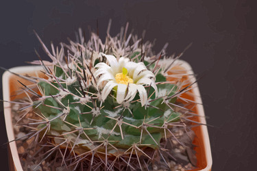 Similar image 5896617