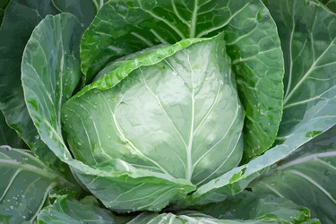 Similar image 5896618