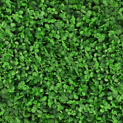 Similar image 5896668