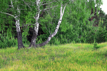 Similar image 5896672