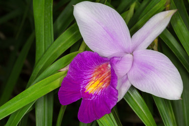 Similar image 5896677