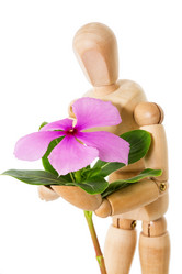 Similar image 5896681