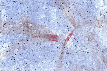 Similar image 5896862