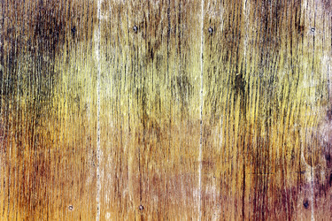 Similar image 5896934