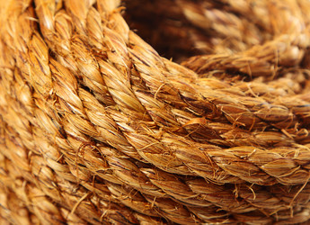 Similar image 5896974