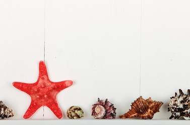 Similar image 5897024