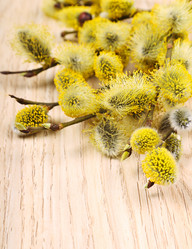 Similar image 5897047