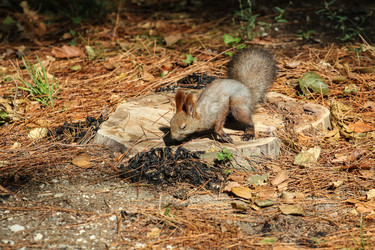 Similar image 5897155