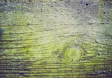 Similar image 5897237