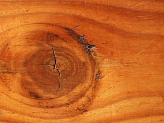 Similar image 5897304