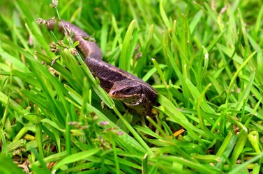 Similar image 5897607