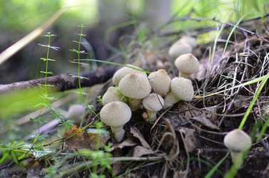 Similar image 5897608