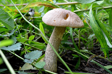 Similar image 5897613