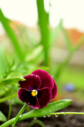 Similar image 5897615