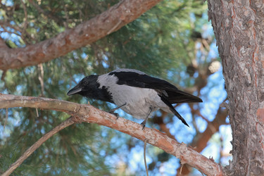 Similar image 5897656