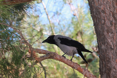 Similar image 5897657