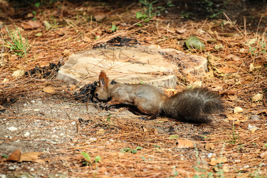 Similar image 5897692