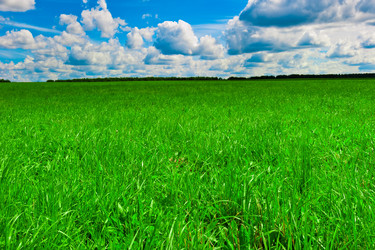 Similar image 5897704