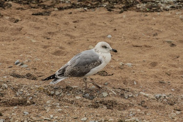 Similar image 5897730