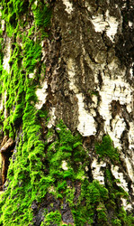 Similar image 5897814