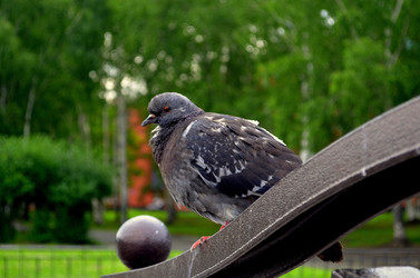 Similar image 5897824