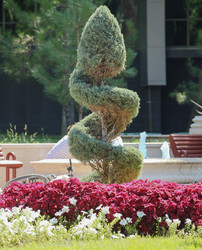 Similar image 5897872