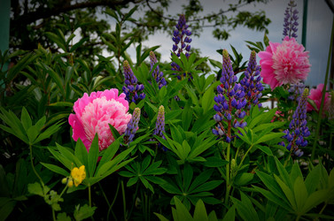 Similar image 5897880