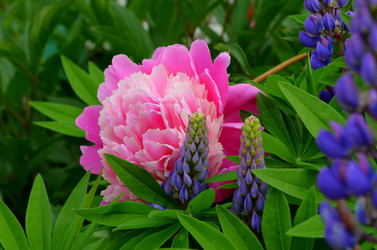 Similar image 5897881