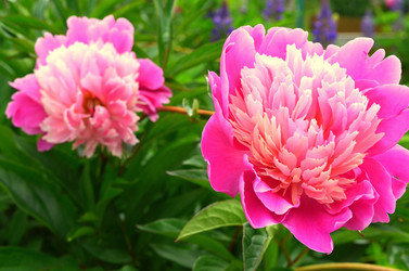 Similar image 5897882