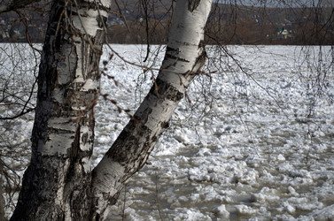 Similar image 5897884