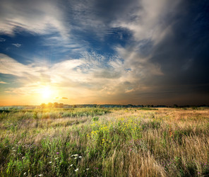 Similar image 5897888