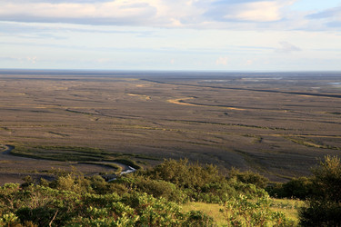 Similar image 5898021