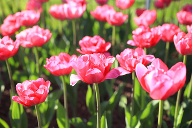 Similar image 5898051