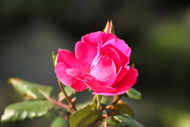 Similar image 5898104